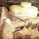 Image for article titled Here's How You Can Make Sure Your Car Is Safe To Drive